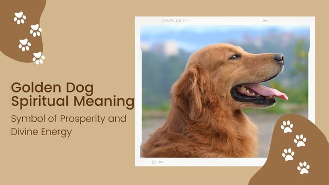 golden dog breeds express unique spiritual qualities