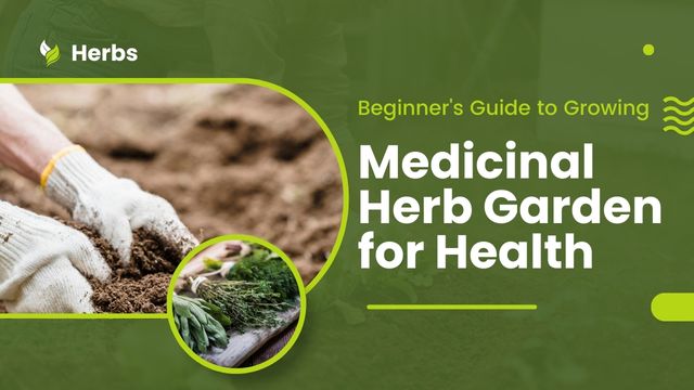 MEDICINAL HERB GARDEN FOR HEALTH: BEGINNER'S GUIDE TO GROWING 3 medicinal herb garden