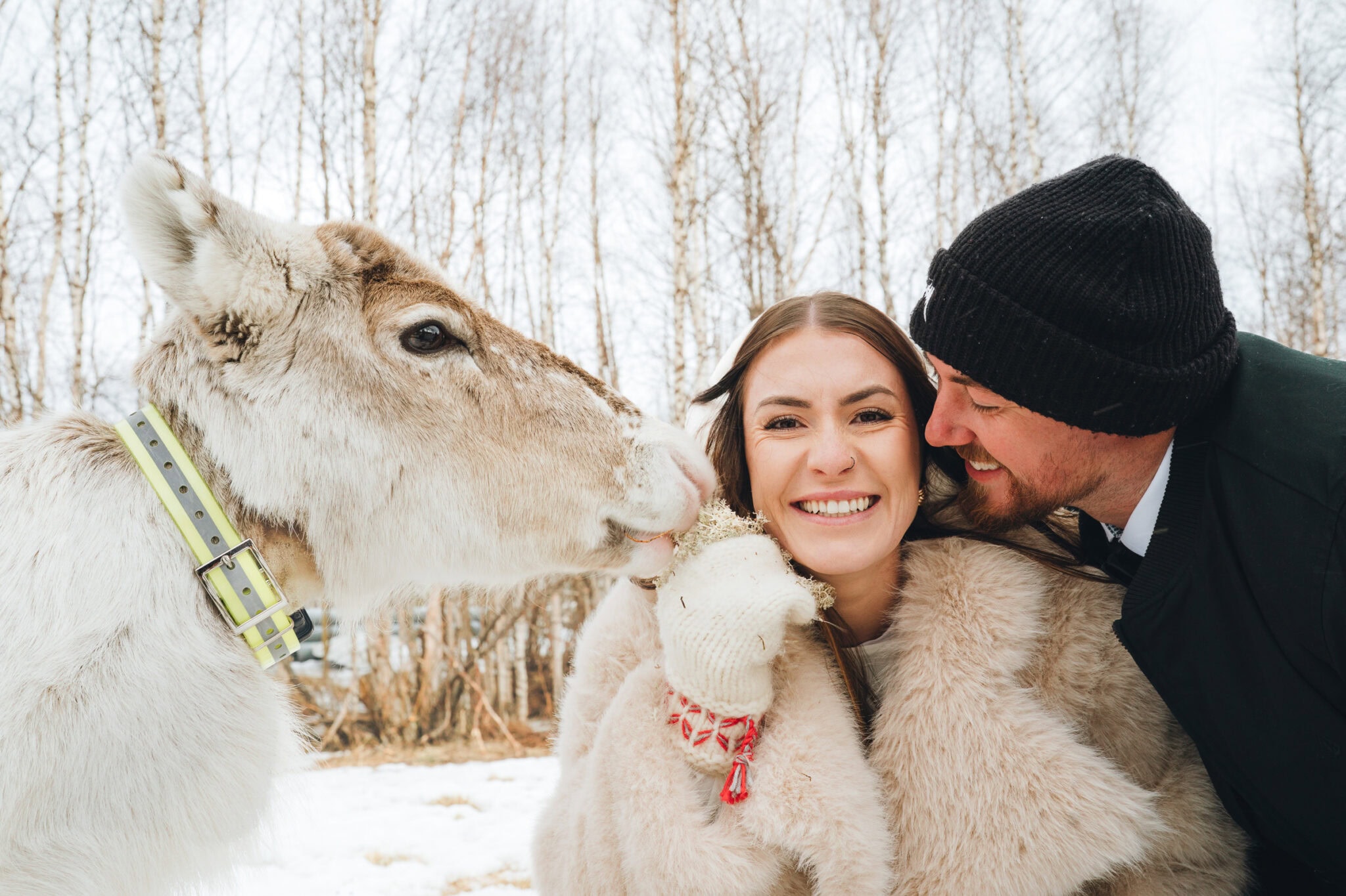 wedding portrait with a reindeer in Rovaniemi Lapland by photographer Niki Strbian
