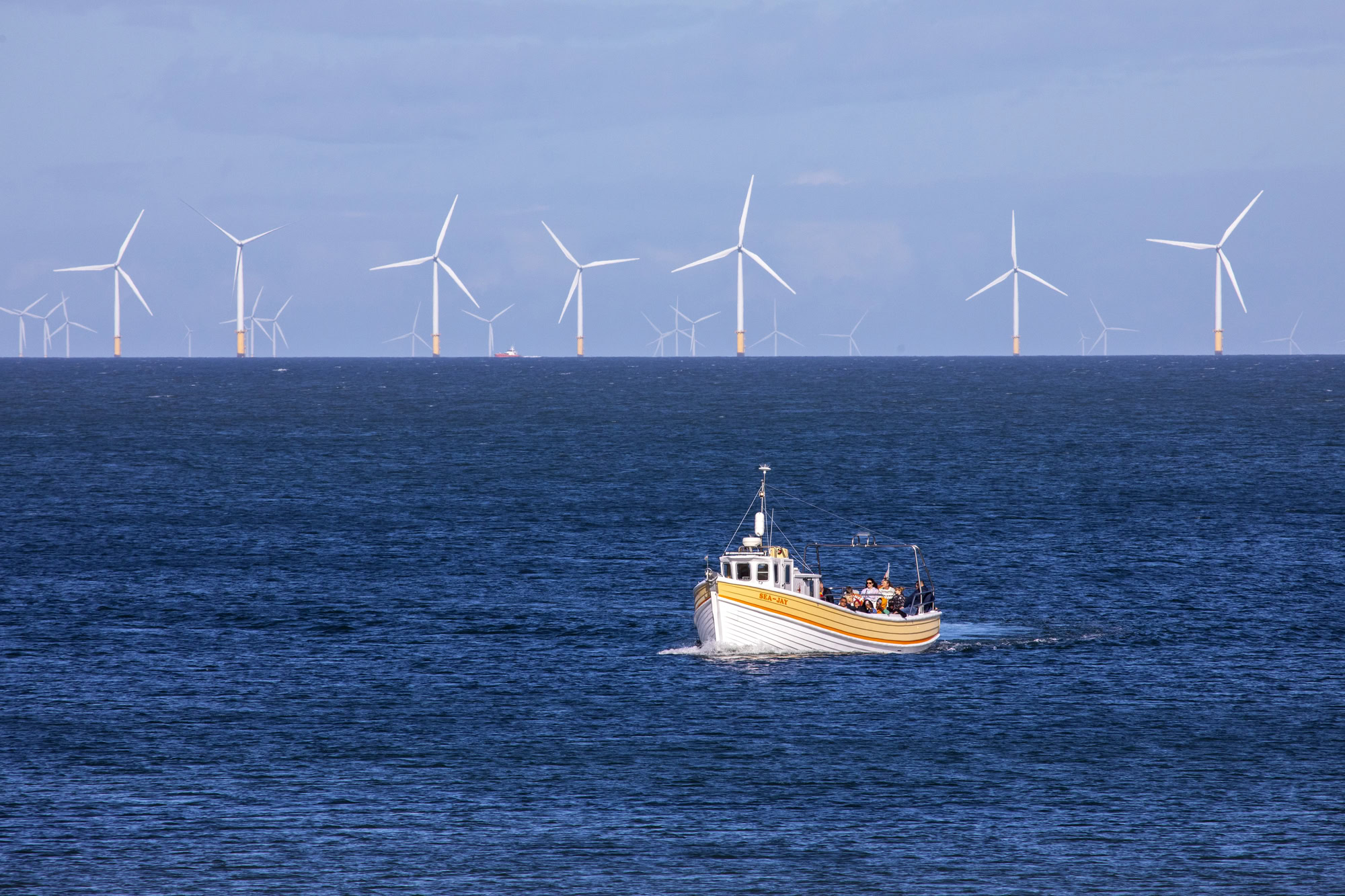 Depositphotos 410561426 L