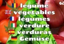 Legume cu Poze – Ordonate Alfabetic. Denumiri Traduse în Engleză, Franceză, Italiană, Spaniolă şi Germană Legume cu Poze - Ordonate Alfabetic. Denumiri Traduse Engleza, Franceza, Italiana, Spaniola Germana