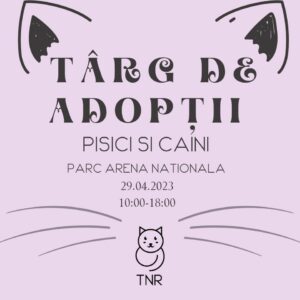 338038703_640598614553277_3654066770617387054_n