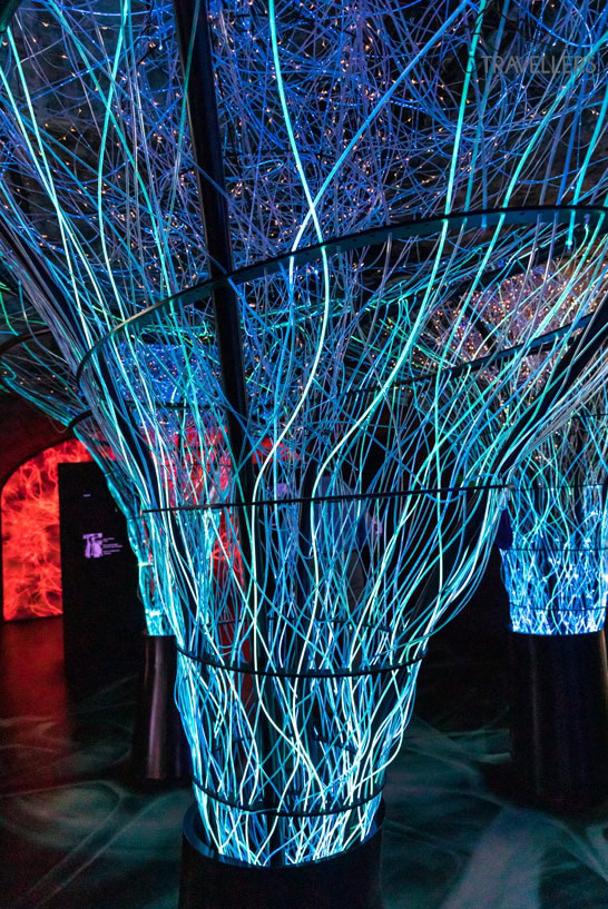Eine Lichtinstallation im EPIC