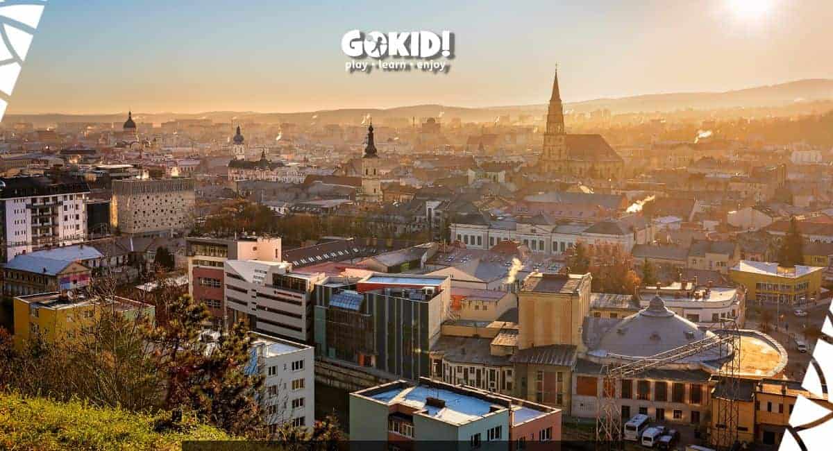 vedere cluj-napoca cu logo