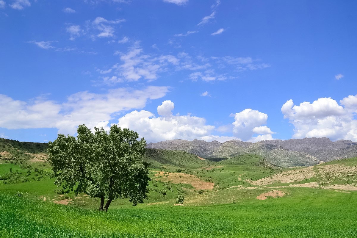 how to buy land with no money