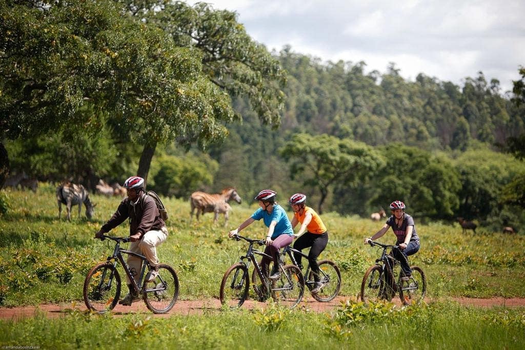 Bikers in Mlilwane Wildlife Sanctuary. You can also bike in Hlane Royal National Park and Mkhaya Game Reserve