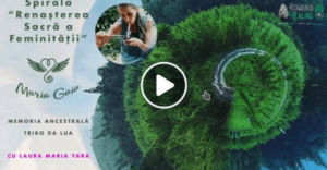 Screenshot_2019-08-28_13-38-44