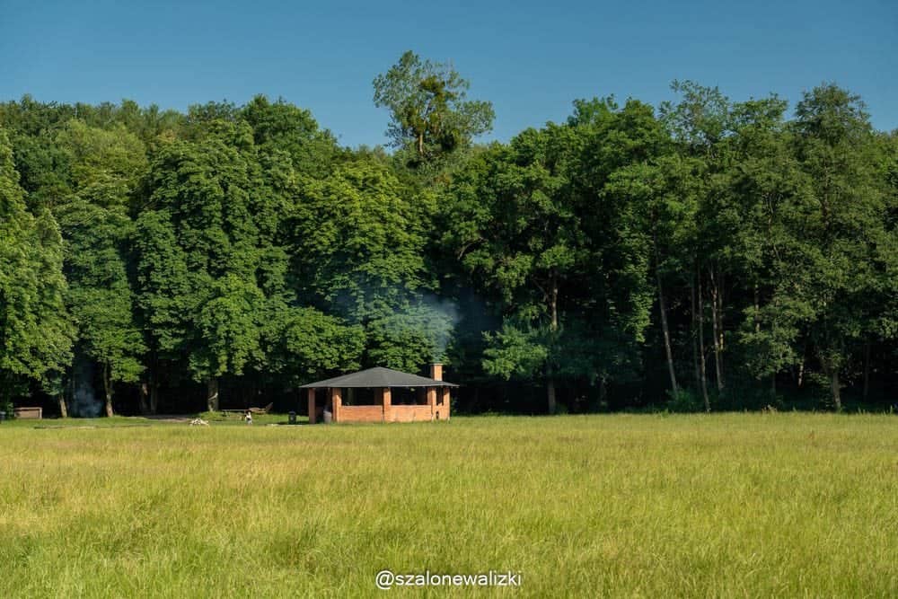 bażantarnia w elblągu