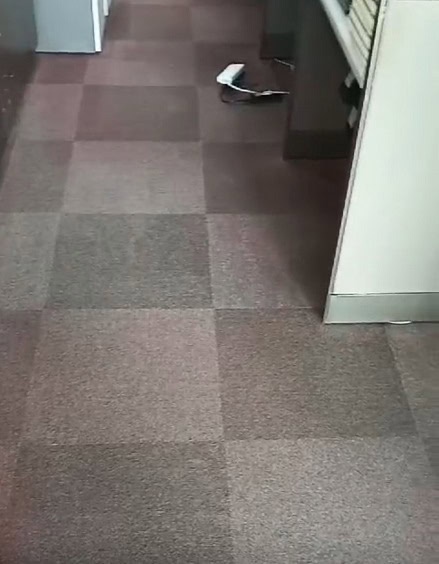 After Singapore Carpet Cleaning Pte Ltd carpet cleaning the water damaged carpet After Singapore Carpet Cleaning Pte Ltd carpet cleaning the water damaged carpet