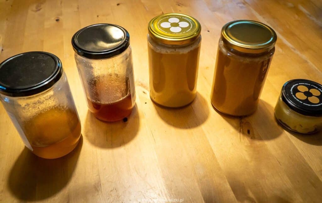 gospodarstwo pasieczne wiosna