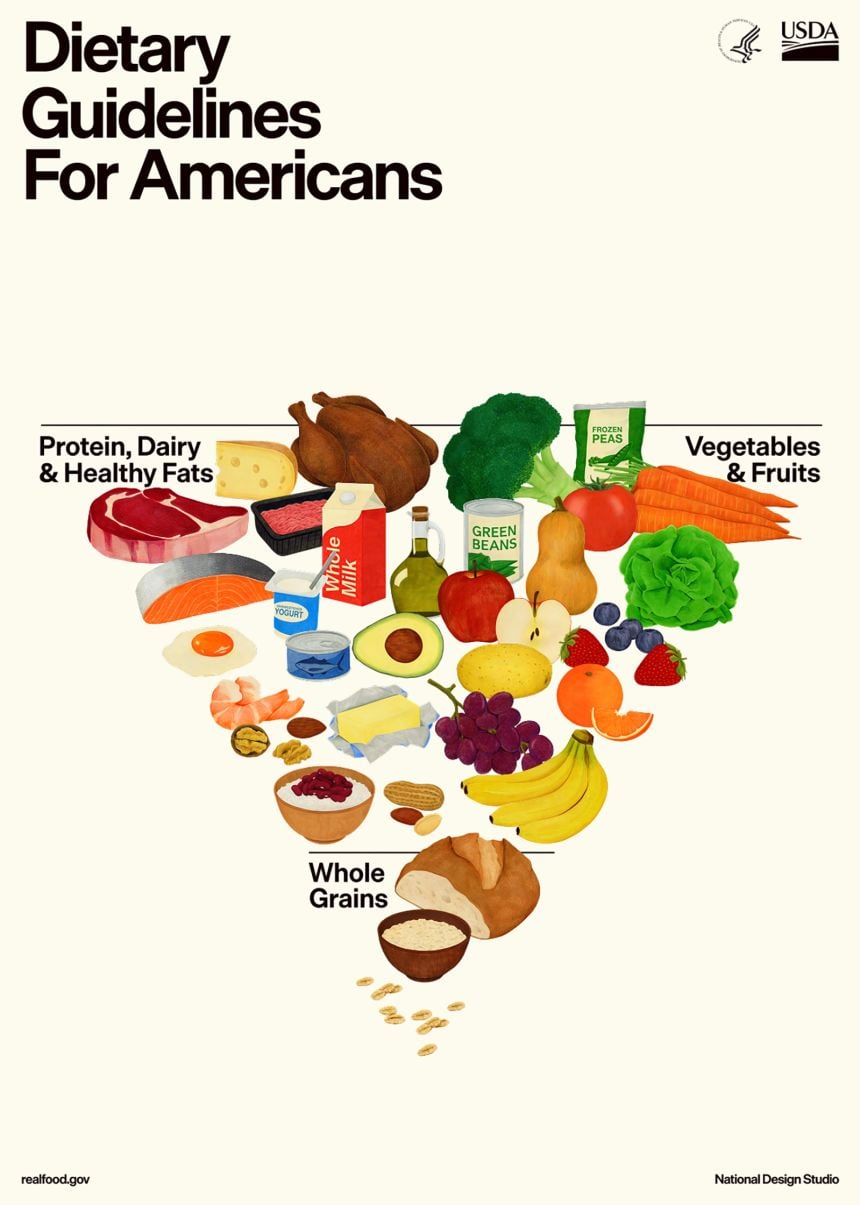 Dr. Roy Food Pyramid