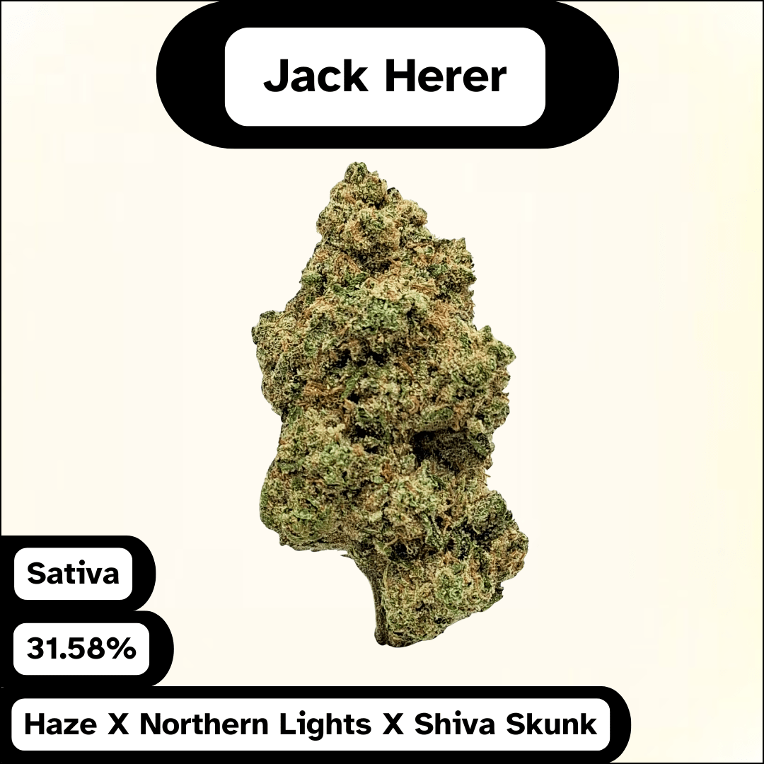 Jack Herer