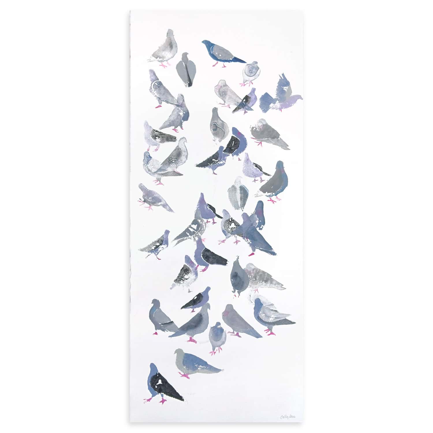 4717C Large Flock of Pigeons – Sally Muir