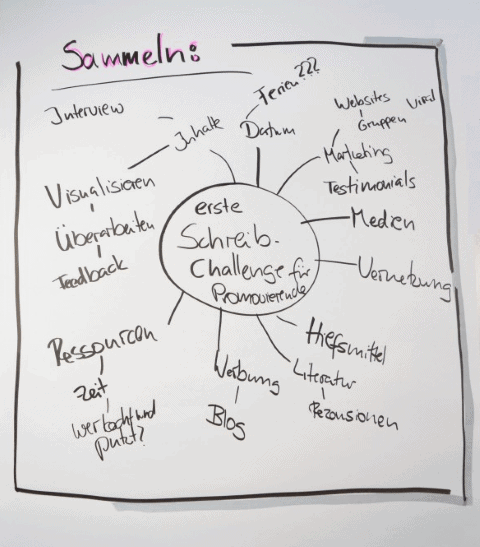 visualisieren-2 Coachingzonen-Wissenschafti-Schreib-Challenge