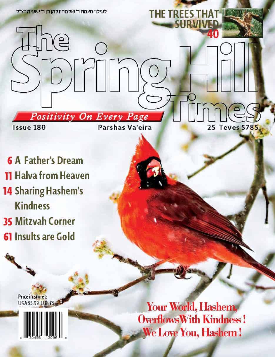 The Spring Hill Times Issue 180 Parshas Va'eira 5785 Downloadable Version