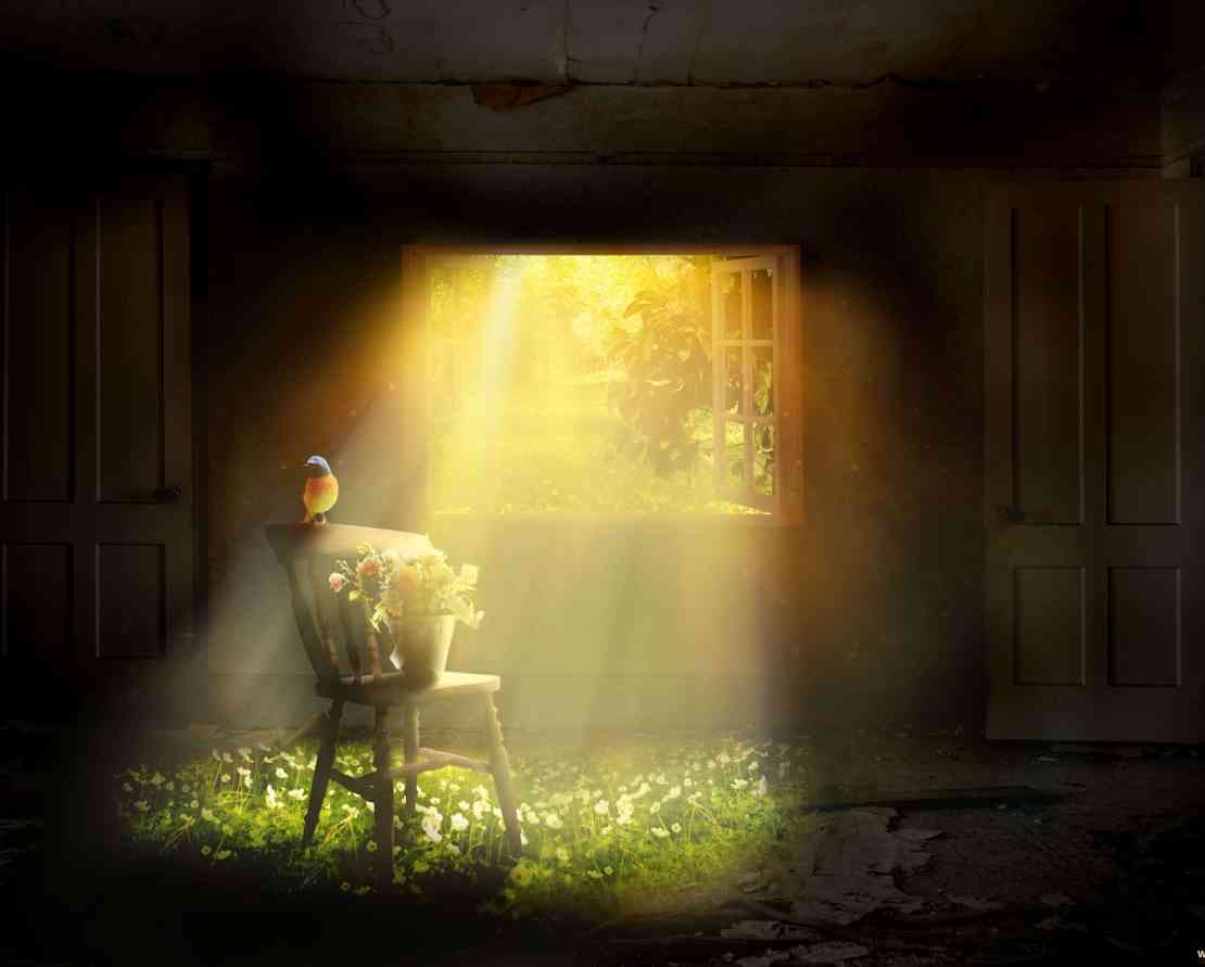 Light of hope