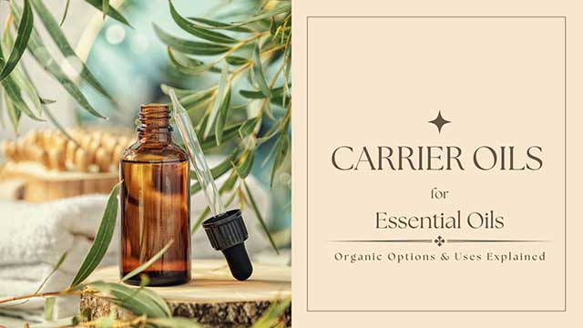 CARRIER OILS FOR ESSENTIAL OILS: ORGANIC OPTIONS & USES EXPLAINED 3 premium seed-based carrier oils
