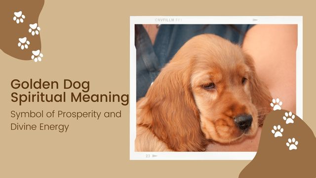 golden dogs appear in dreams and visions