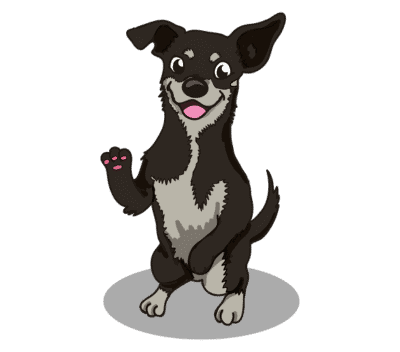 Puppy & dog training near minneapolis, eden prairie and surrounding suburbs – go anywhere dog®