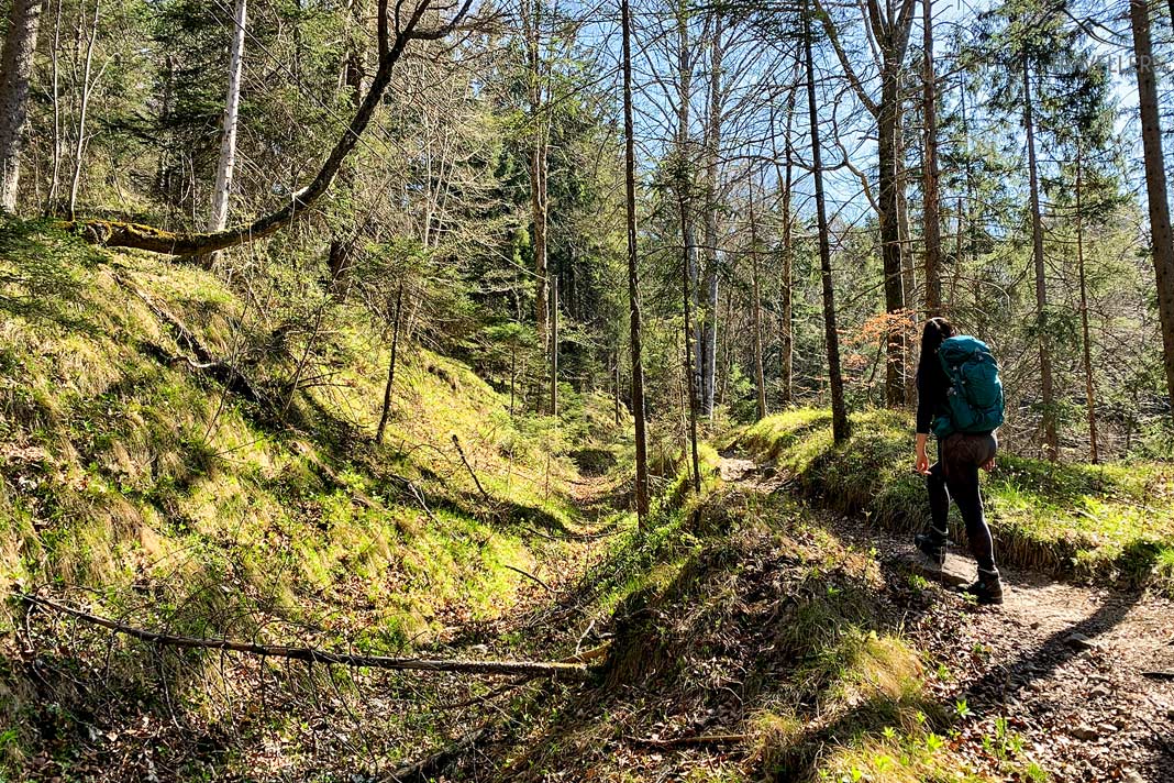 Reisebloggerin Biggi Bauer auf einem Bergpfad im Wald