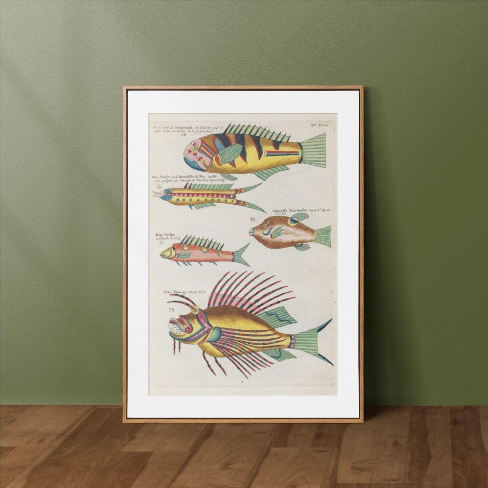 Louis Renard Louis Renard – Printable Wall Art, Antique Fish Print, Aquatic Wall Decor, Digital Download