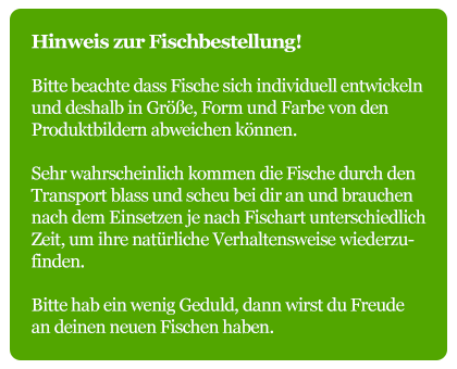Hinweis zur Fischbestellung bei Zierfischzucht Kotterba
