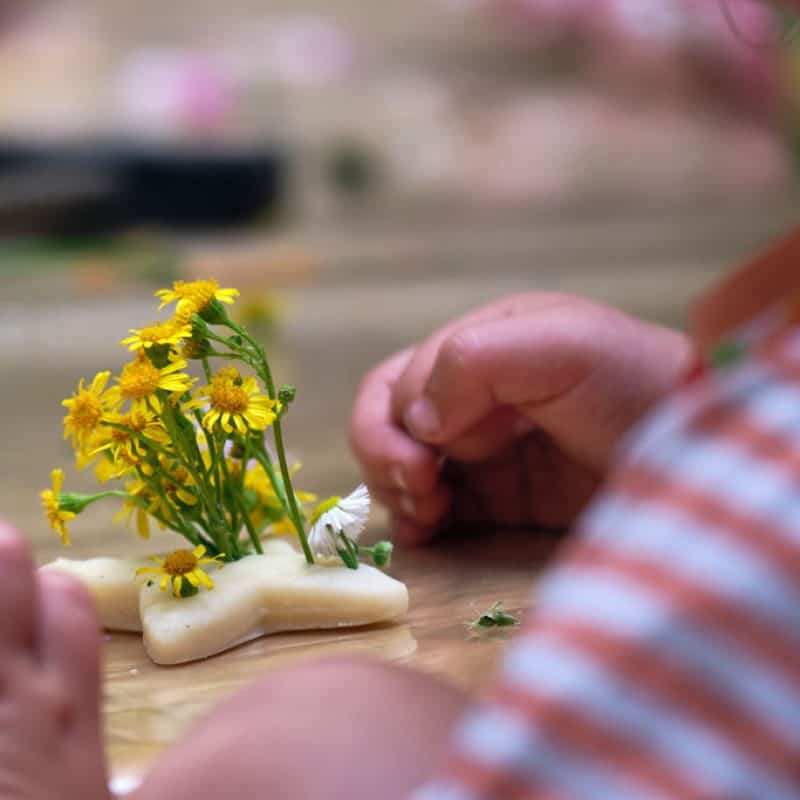 montessori_lauf_waldkindertage_7