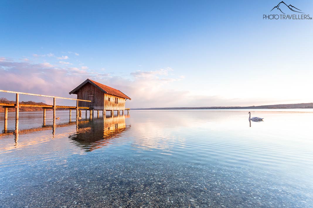 Ein Bootshaus mit Schwan am Ammersee am Abend