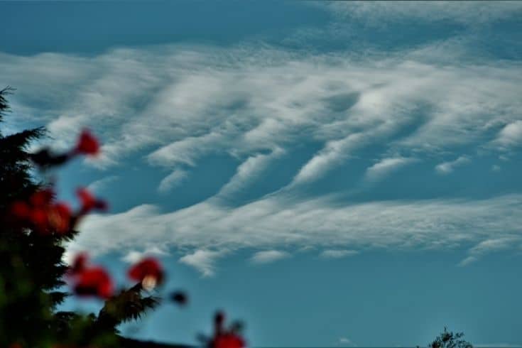Rare Formation of Kelvin-Helmholtz & Altocumulus Clouds over South-East England