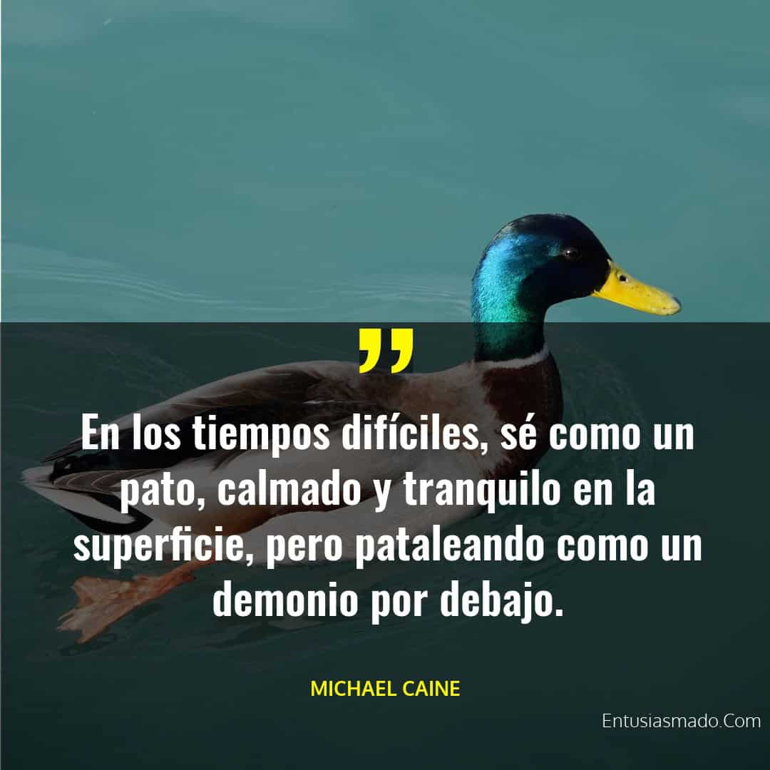 En los tiempos difíciles, sé como un pato, calmado y tranquilo en la superficie pero pataleando como un demonio por debajo.