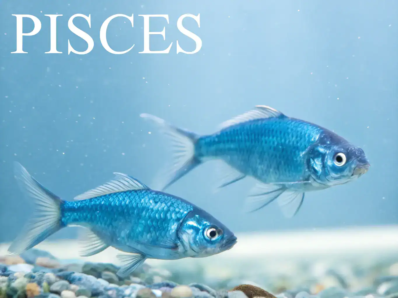 மார்ச் 1 ராசி | டீலக்ஸ் ஜோதிடம் மார்ச் 1 ராசி