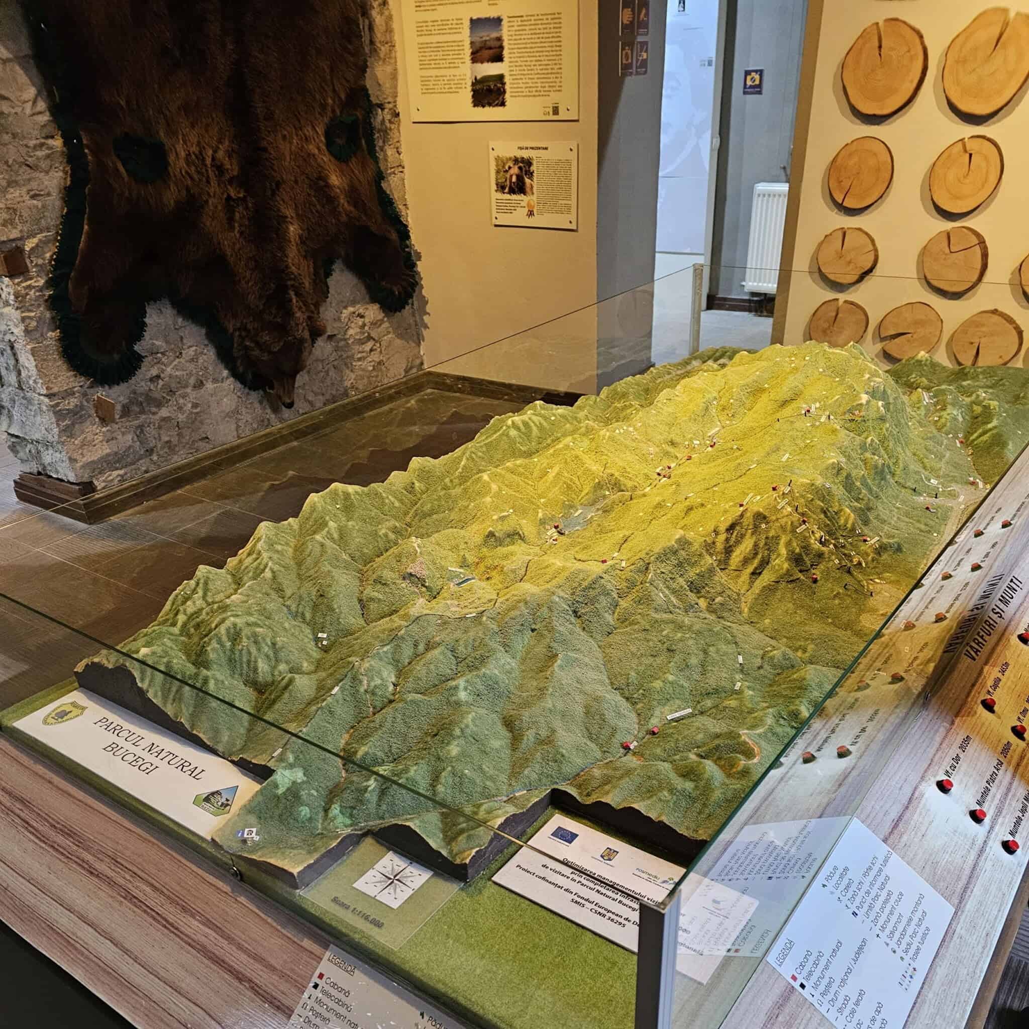 Muzeul orașului Sinaia - dioramă