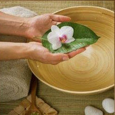 Egle Comfort Druskininkai 4* | דרוסקינינקאי | Санатории Друскининкая