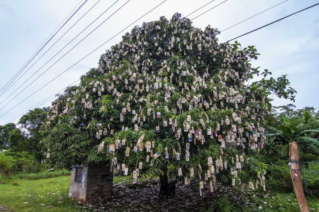 10 TOP dań na Filipinach