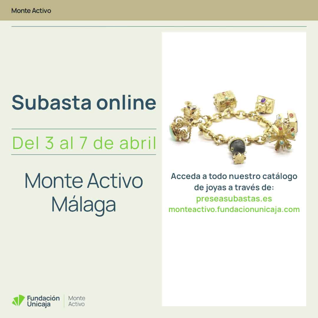 Monte Activo - Subasta Abril 2025 - Málaga