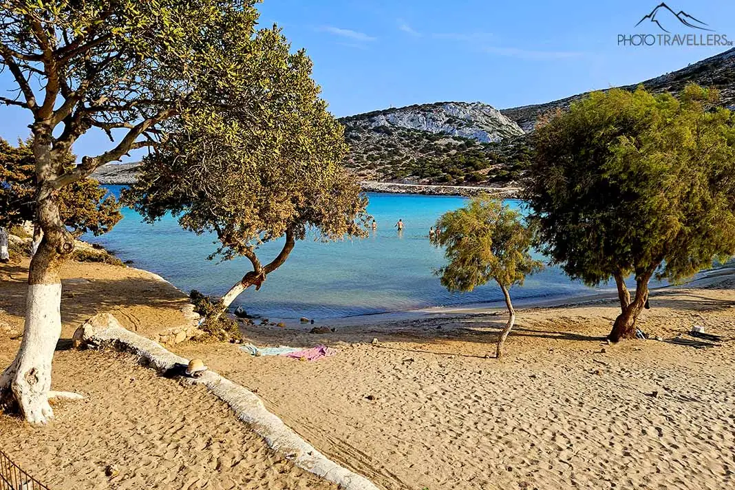 Die Bäume am Strand von Platis Gialos bilden einen schönen Kontrast zum türkisblauen Wasser