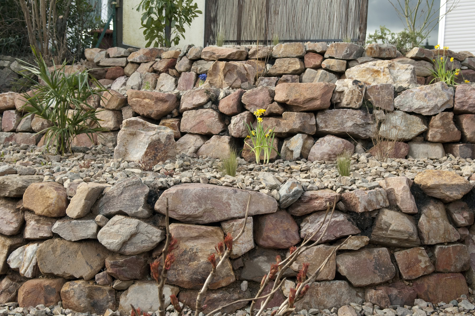 Natursteinmauer bauen: Steinarten, Kosten und was wirklich hält Steingarten; frisch, bepflanzt, Pflanzen, junge,