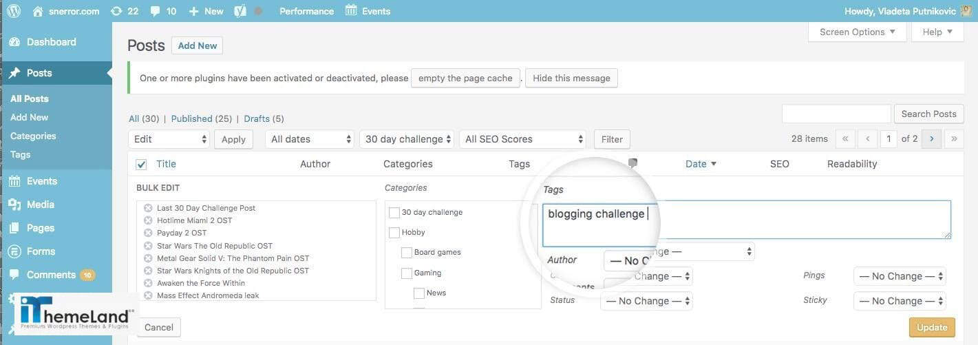 WordPress bulk edit tags