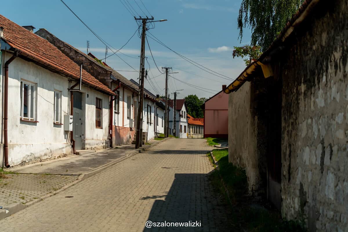 pińczów
