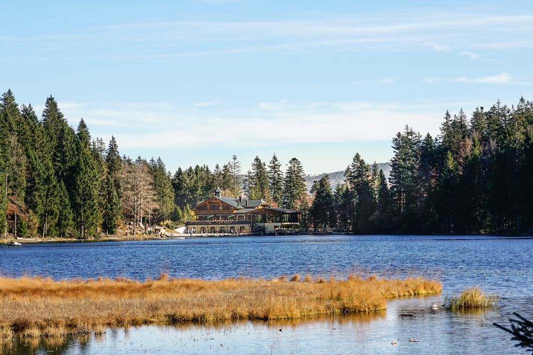 Der Blick über den Großen Arbersee im Bayerischen Wald