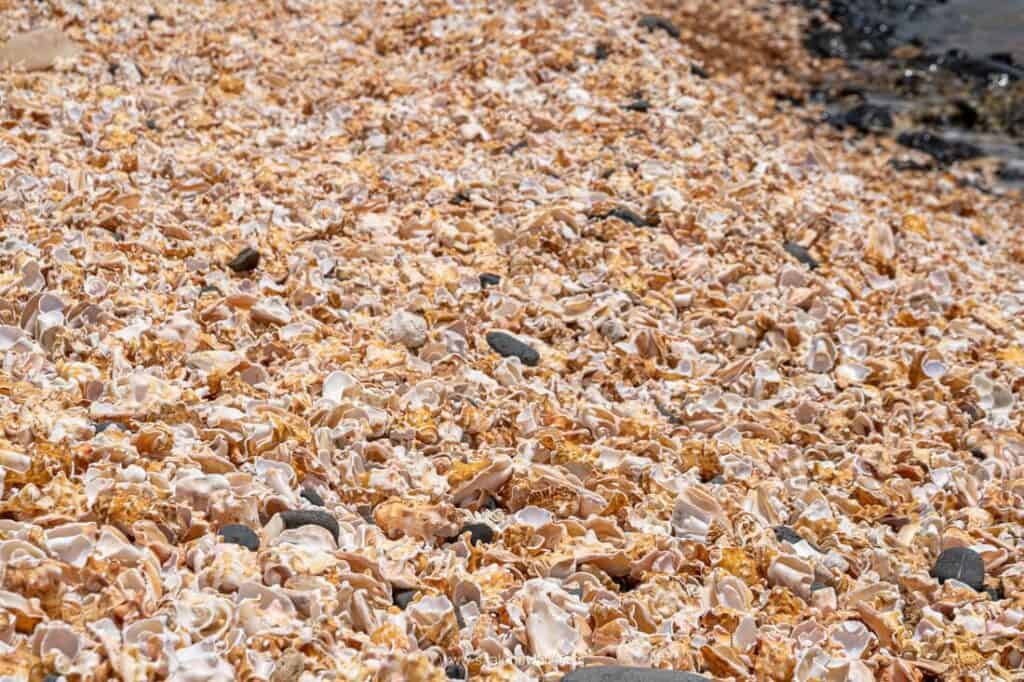 wyspy zielonego przylądka