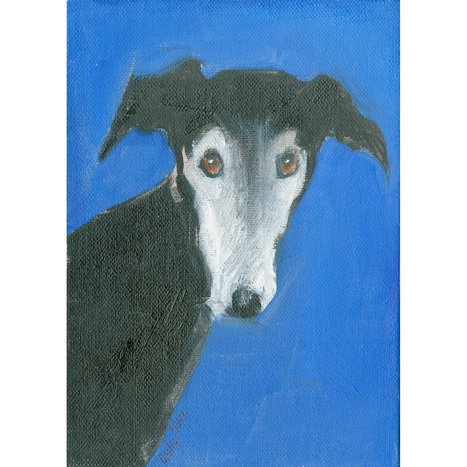 4735C Black and White Dog on Bright Blue – Sally Muir