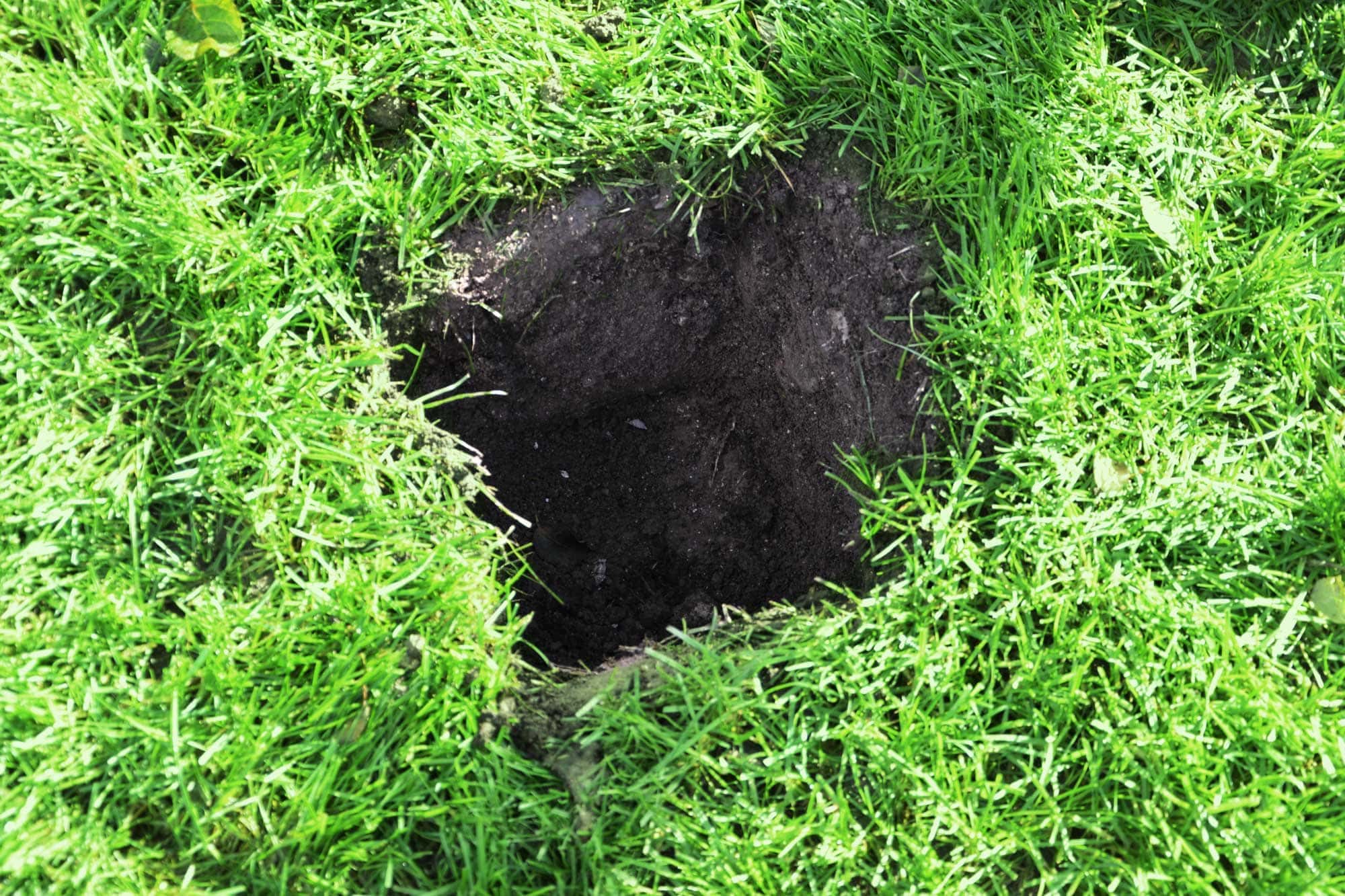 Punktfundament für Hochbeet ausgehobenes Erdloch