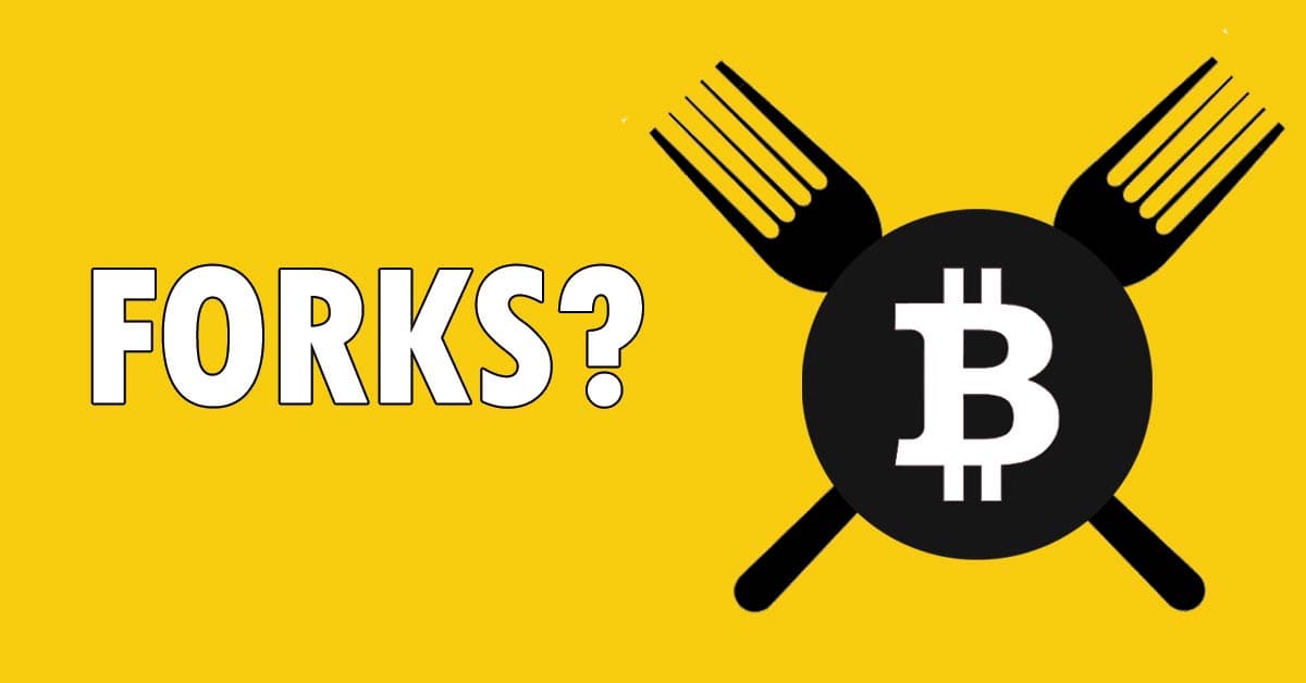 A Beginner's Guide to Soft Fork and Hard Fork 20 forks