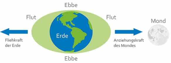 Entfernung der Erde zum Mond und weitere interessante Fakten 2 Gezeitenwirkung durch Flieh- und Schwerkraft
