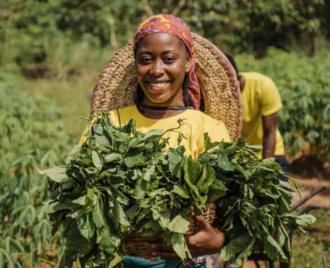 brics agricultural cooperation and food security