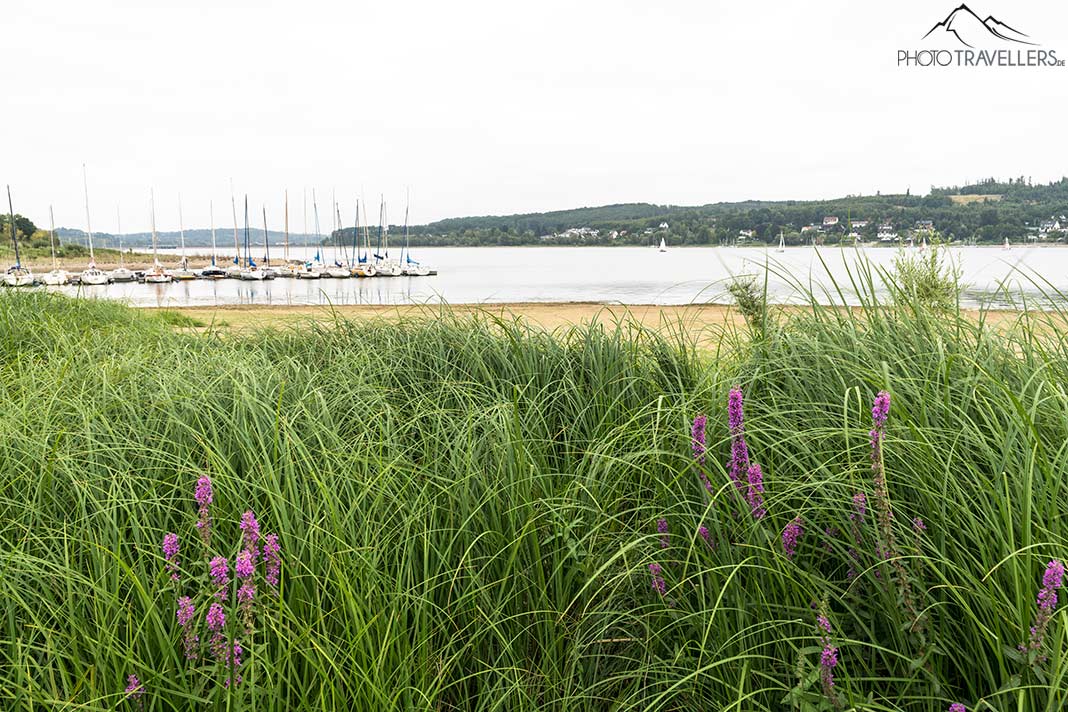 Segelboote liegen am Steg am Möhnesee