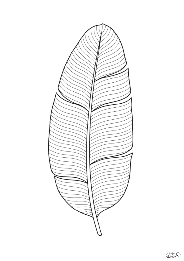 Bananenblatt zum Ausmalen als Vorlage zum Ausdrucken für Erwachsene