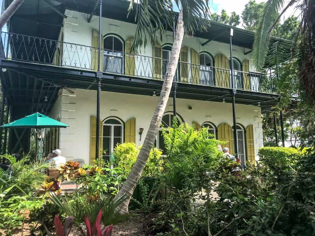 sześciopalczaste koty hemingwaya