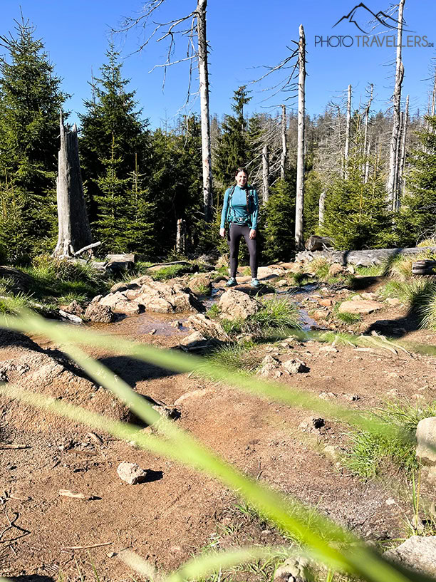 Pfad hinauf zum Brocken